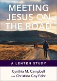 Meeting Jesus on the Road (eBook, ePUB)