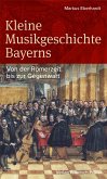 Kleine Musikgeschichte Bayerns (eBook, ePUB)