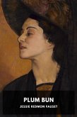 Plum Bun (eBook, ePUB)