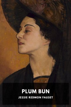 Plum Bun (eBook, ePUB) - Fauset, Jessie Redmon