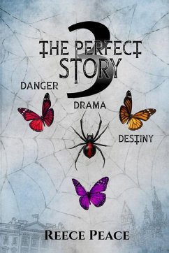 Cover The Perfect Story 3