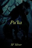 Pu'ka