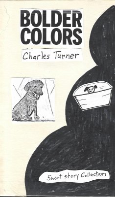 Bolder Colors (eBook, ePUB) - Turner, Charles