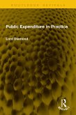 Public Expenditure in Practice (eBook, PDF)