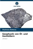Geophysik von Öl- und Gasfeldern