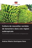 Culture de nouvelles variétés de bananiers dans une région subtropicale