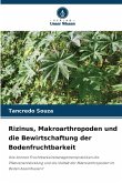 Rizinus, Makroarthropoden und die Bewirtschaftung der Bodenfruchtbarkeit