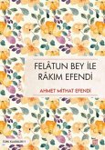 Felatun Bey ile Rakim Efendi