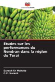 Études sur les performances du Nendran dans la région du Teraï