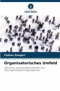 Organisatorisches Umfeld - Zangerl, Fabian