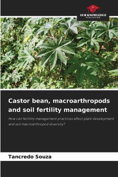 Cover Castor bean, macroarthropods and soil fertility management