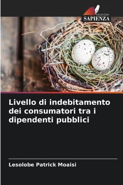 Cover Livello di indebitamento dei consumatori tra i dipendenti pubblici