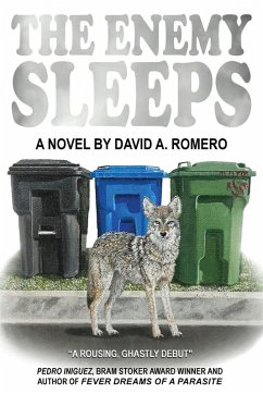 The Enemy Sleeps - Romero, David A