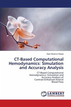 Cover CT-Based Computational Hemodynamics: Simulation and Accuracy Analysis