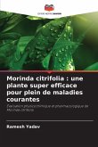 Morinda citrifolia : une plante super efficace pour plein de maladies courantes