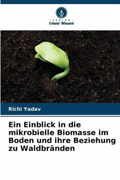 Cover Ein Einblick in die mikrobielle Biomasse im Boden und ihre Beziehung zu Waldbränden