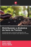 Distribuição e dinâmica do boro na Tunísia