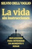 La vida sin instrucciones (eBook, ePUB)