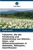 Faktoren, die die Förderung und Entwicklung von Kleinst-, Klein- und Mittelunternehmen in Nekemte, Äthiopien, beeinflussen