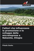 Fattori che influenzano la promozione e lo sviluppo delle microimprese a Nekemte, Etiopia
