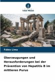 Überzeugungen und Herausforderungen bei der Prävention von Hepatitis B im mittleren Purus