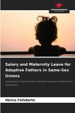 Salary and Maternity Leave for Adoptive Fathers in Same-Sex Unions