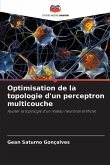 Optimisation de la topologie d'un perceptron multicouche