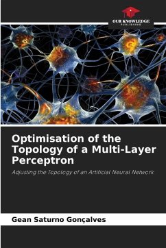 Optimisation of the Topology of a Multi-Layer Perceptron - Saturno Gonçalves, Gean