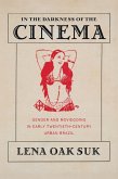 In the Darkness of the Cinema (eBook, ePUB)