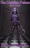The Obsidian Palace (Through the Fire, #3) (eBook, ePUB)