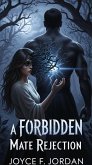 A Forbidden Mate Rejection (eBook, ePUB)