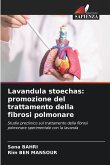 Lavandula stoechas: promozione del trattamento della fibrosi polmonare
