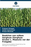 Reaktion von süßem Sorghum (Sorghum bicolor L. Moench) vor der Freigabe Reaktion von süßem Sorghum (Sorghum bicolor L. Moench) vor der Freigabe