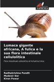 Lumaca gigante africana, A fulica e la sua flora intestinale cellulolitica