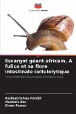 Escargot géant africain, A fulica et sa flore intestinale cellulolytique