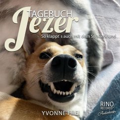 Cover Tagebuch Jezer (MP3-Download)