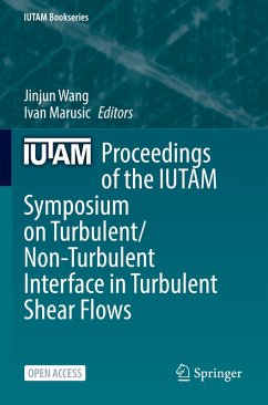 Cover Proceedings of the IUTAM Symposium on Turbulent/Non-Turbulent Interface in Turbulent Shear Flows