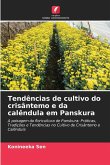 Tendências de cultivo do crisântemo e da calêndula em Panskura