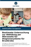 Bestimmte Untersuchung zur Abbildung per Mikrowelle für Diagnosesysteme für Brustkrebs