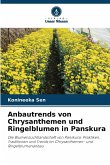 Anbautrends von Chrysanthemen und Ringelblumen in Panskura