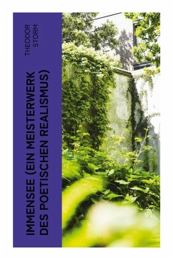 Cover Immensee (Ein Meisterwerk des poetischen Realismus)