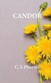 CANDOR (eBook, ePUB)