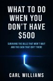 What To Do When You Don't Have $500 Surviving the Bills That Won't Wait and the Cash That Isn't There (eBook, ePUB)