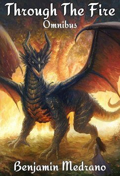 Cover Through the Fire Omnibus Volume 1 (eBook, ePUB)