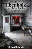 Urban Explorer: Der Pfad in den Tod (eBook, ePUB)