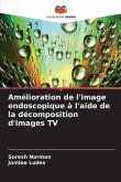 Amélioration de l'image endoscopique à l'aide de la décomposition d'images TV
