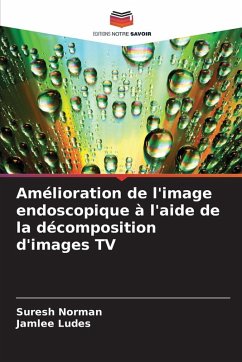 Cover Amélioration de l'image endoscopique à l'aide de la décomposition d'images TV