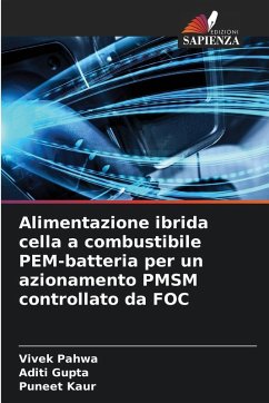 Cover Alimentazione ibrida cella a combustibile PEM-batteria per un azionamento PMSM controllato da FOC