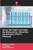 Vírus do Topo Curvado da Bananeira: Desenho de primers PCR e deteção