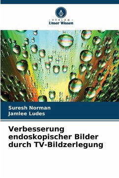 Cover Verbesserung endoskopischer Bilder durch TV-Bildzerlegung
